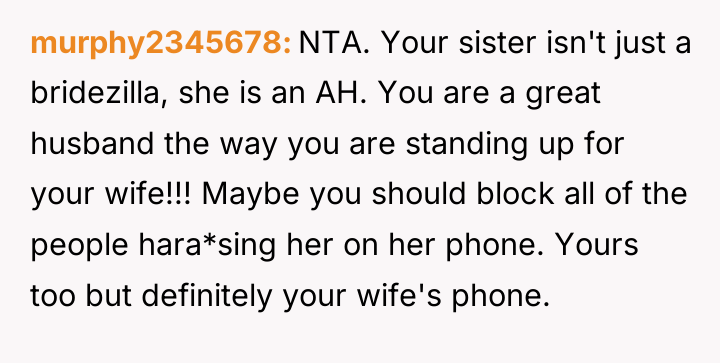 murphy2345678 NTA. Your sister isn't just a bridezilla, she is...