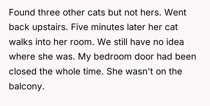 Found three other cats but not hers. Went back upstairs....