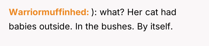 Warriormuffinhed ): what? Her cat had babies outside. In the...
