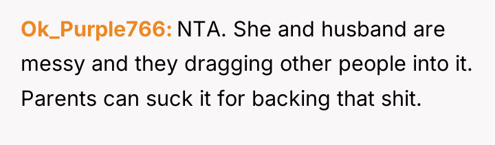 Ok_Purple766 NTA. She and husband are messy and they dragging...