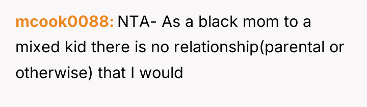 mcook0088 NTA- As a black mom to a mixed kid...