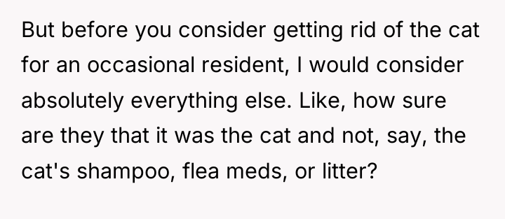But before you consider getting rid of the cat for...