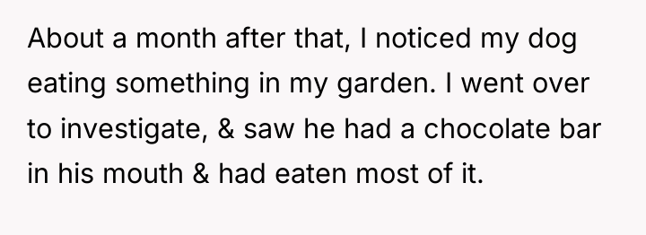 About a month after that, I noticed my dog eating...