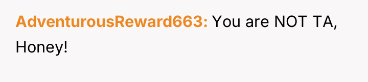 AdventurousReward663 You are NOT TA, Honey!