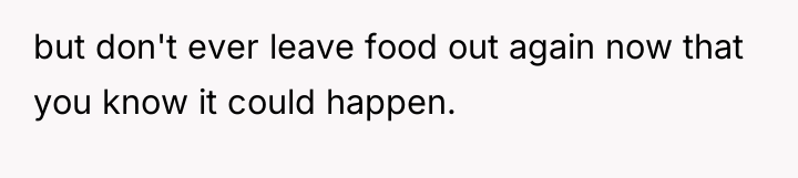 but don't ever leave food out again now that you...