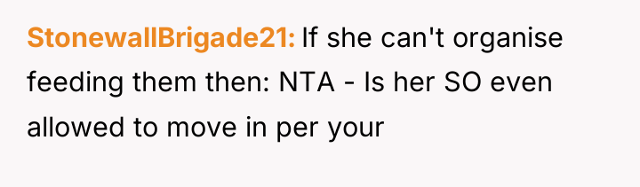 StonewallBrigade21 If she can't organise feeding them then: NTA -...