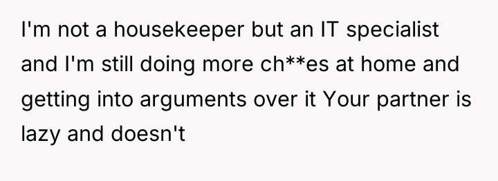 I'm not a housekeeper but an IT specialist and I'm...