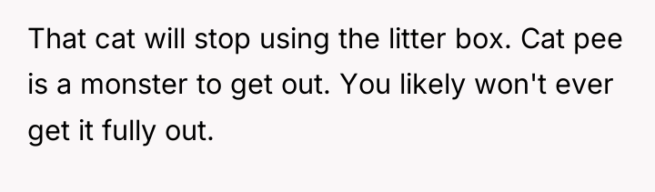 That cat will stop using the litter box. Cat pee...