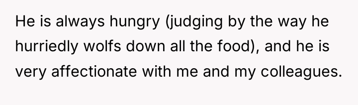 He is always hungry (judging by the way he hurriedly...