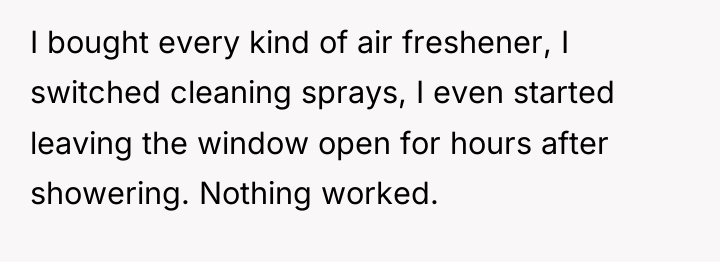 I bought every kind of air freshener, I switched cleaning...