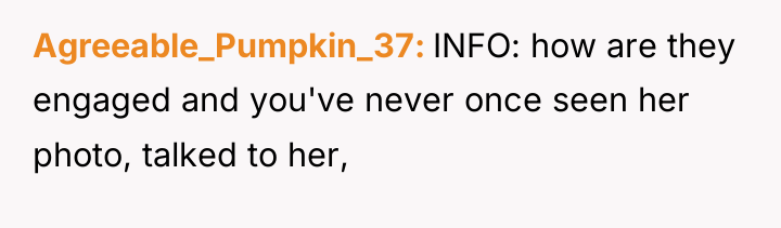 Agreeable_Pumpkin_37 INFO: how are they engaged and you've never once...