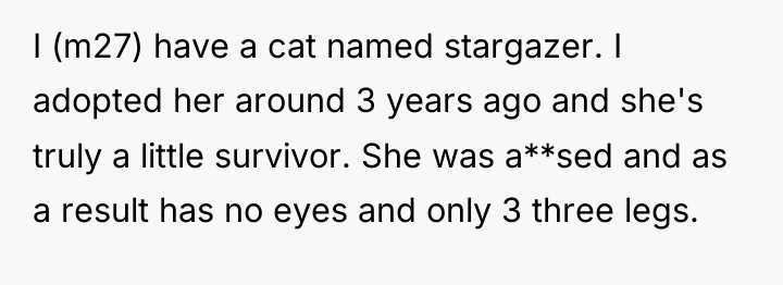 I (m27) have a cat named stargazer. I adopted her...
