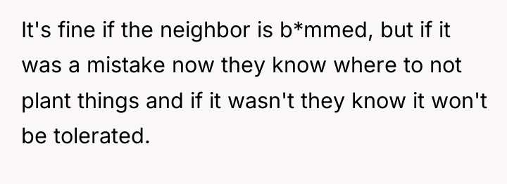 It's fine if the neighbor is b*mmed, but if it...