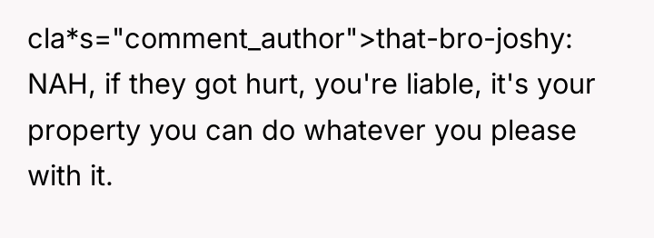 cla*s="comment_author">that-bro-joshy: NAH, if they got hurt, you're liable, it's your...