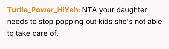 Turtle_Power_HiYah NTA your daughter needs to stop popping out kids...