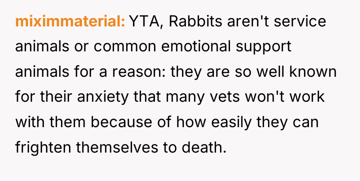 miximmaterial YTA, Rabbits aren't service animals or common emotional support...