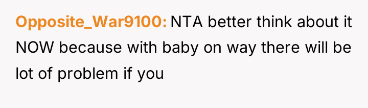 Opposite_War9100 NTA better think about it NOW because with baby...