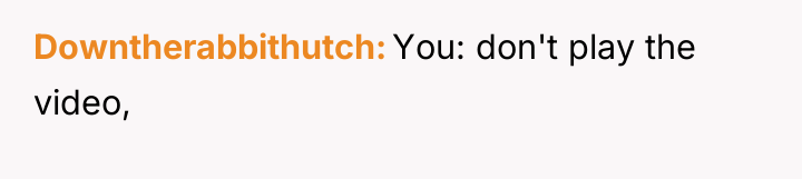 Downtherabbithutch You: don't play the video,
