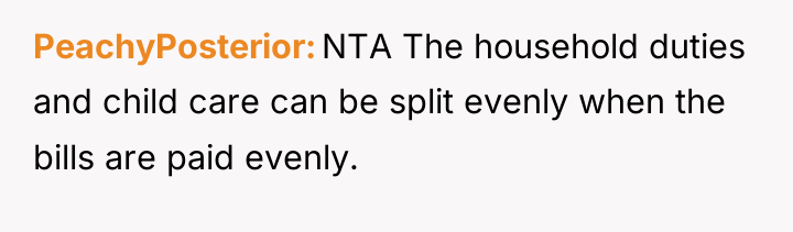 PeachyPosterior NTA The household duties and child care can be...