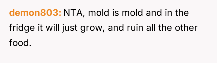 demon803 NTA, mold is mold and in the fridge it...