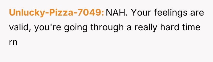 Unlucky-Pizza-7049 NAH. Your feelings are valid, you're going through a...