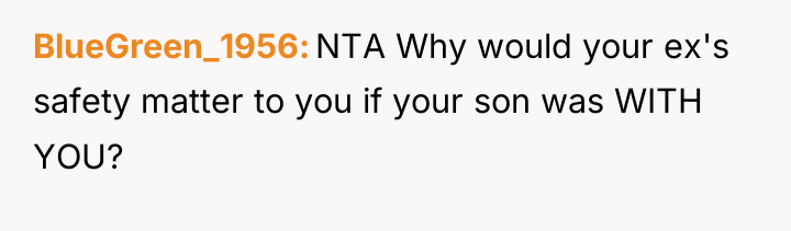 BlueGreen_1956 NTA Why would your ex's safety matter to you...