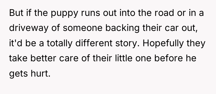 But if the puppy runs out into the road or...
