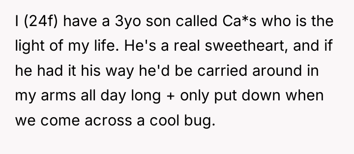 I (24f) have a 3yo son called Ca*s who is...