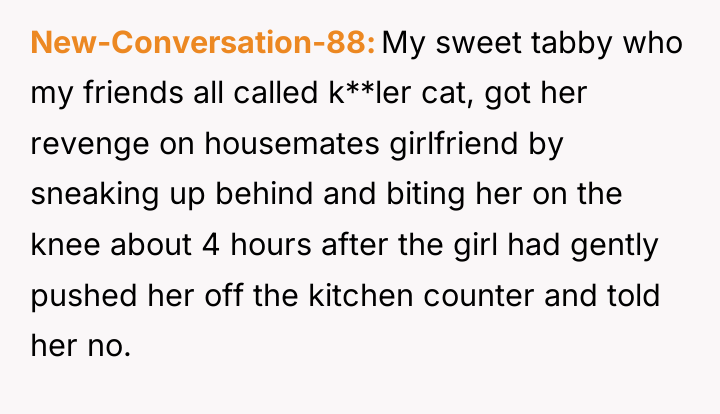 New-Conversation-88 My sweet tabby who my friends all called k**ler...