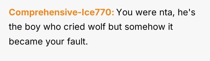 Comprehensive-Ice770 You were nta, he's the boy who cried wolf...