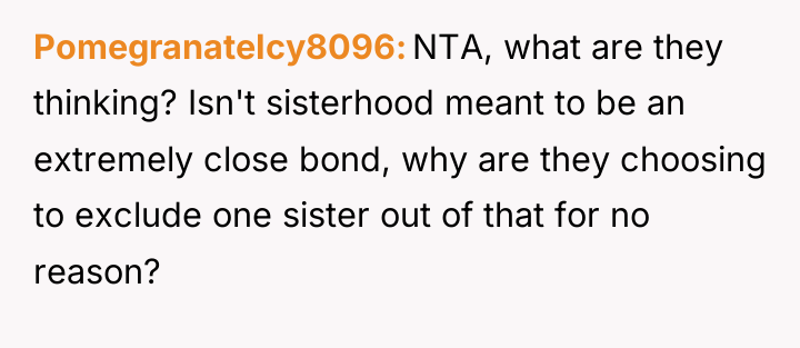 PomegranateIcy8096 NTA, what are they thinking? Isn't sisterhood meant to...