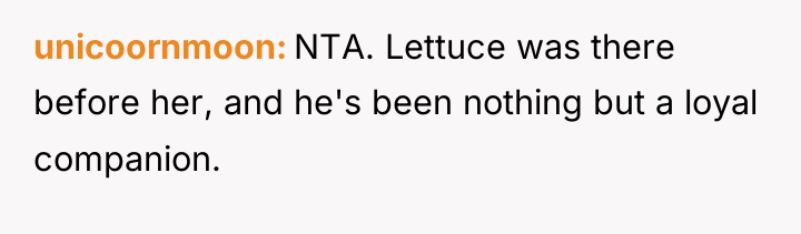 unicoornmoon NTA. Lettuce was there before her, and he's been...