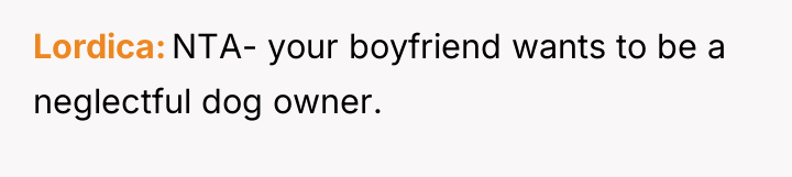 Lordica NTA- your boyfriend wants to be a neglectful dog...