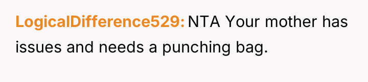 LogicalDifference529 NTA Your mother has issues and needs a punching...