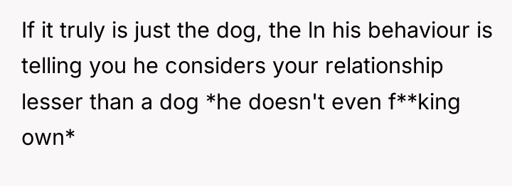 If it truly is just the dog, the ln his...