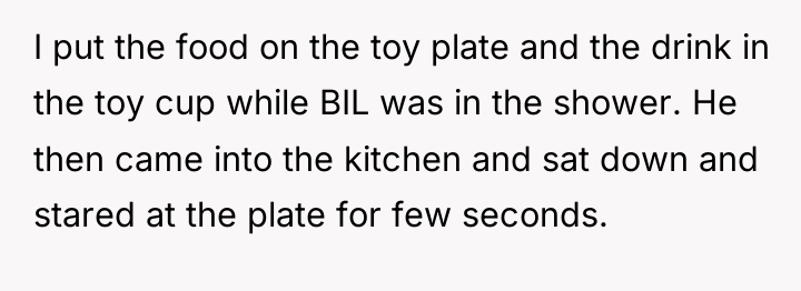 I put the food on the toy plate and the...