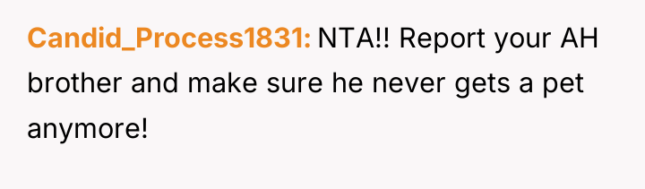 Candid_Process1831 NTA!! Report your AH brother and make sure he...