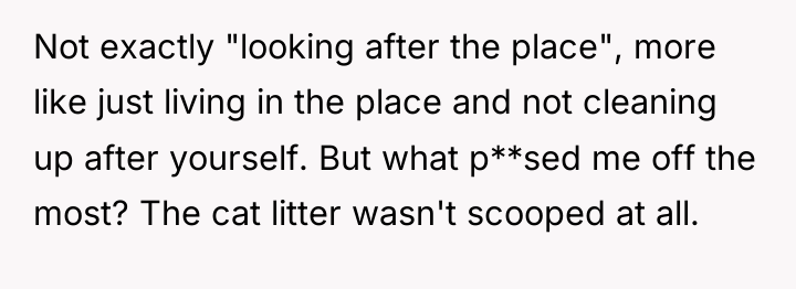 Not exactly "looking after the place", more like just living...