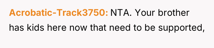 Acrobatic-Track3750 NTA. Your brother has kids here now that need...