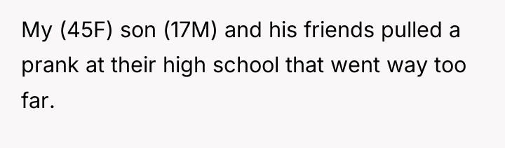 My (45F) son (17M) and his friends pulled a prank...