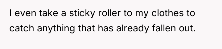 I even take a sticky roller to my clothes to...