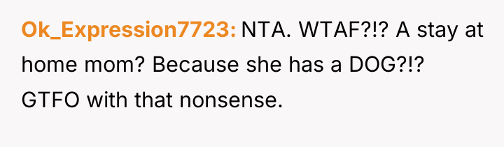 Ok_Expression7723 NTA. WTAF?!? A stay at home mom? Because she...