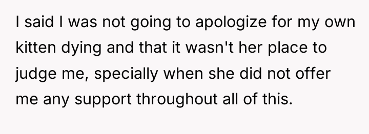 I said I was not going to apologize for my...