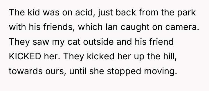 The kid was on acid, just back from the park...