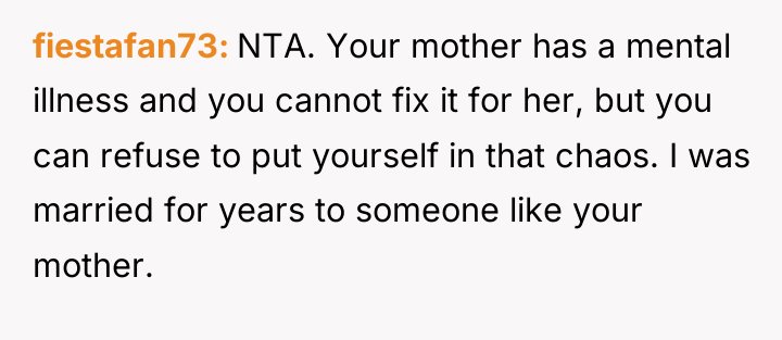 fiestafan73 NTA. Your mother has a mental illness and you...