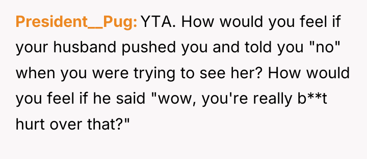 President__Pug YTA. How would you feel if your husband pushed...