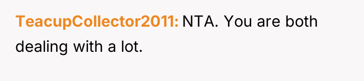 TeacupCollector2011 NTA. You are both dealing with a lot.