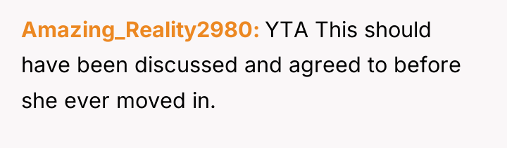 Amazing_Reality2980 YTA This should have been discussed and agreed to...