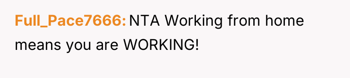 Full_Pace7666 NTA Working from home means you are WORKING!