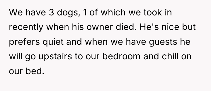 We have 3 dogs, 1 of which we took in...